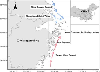 Trophic Niche Partitioning of Five Sciaenidae Species Sampled in Zhoushan Archipelago Waters via Stable Isotope Analysis